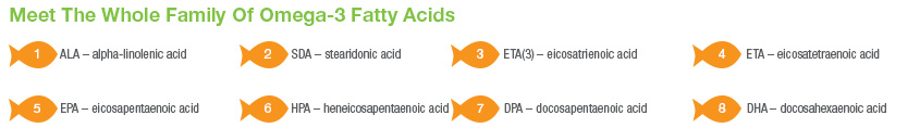 omega-3 fatty acids family